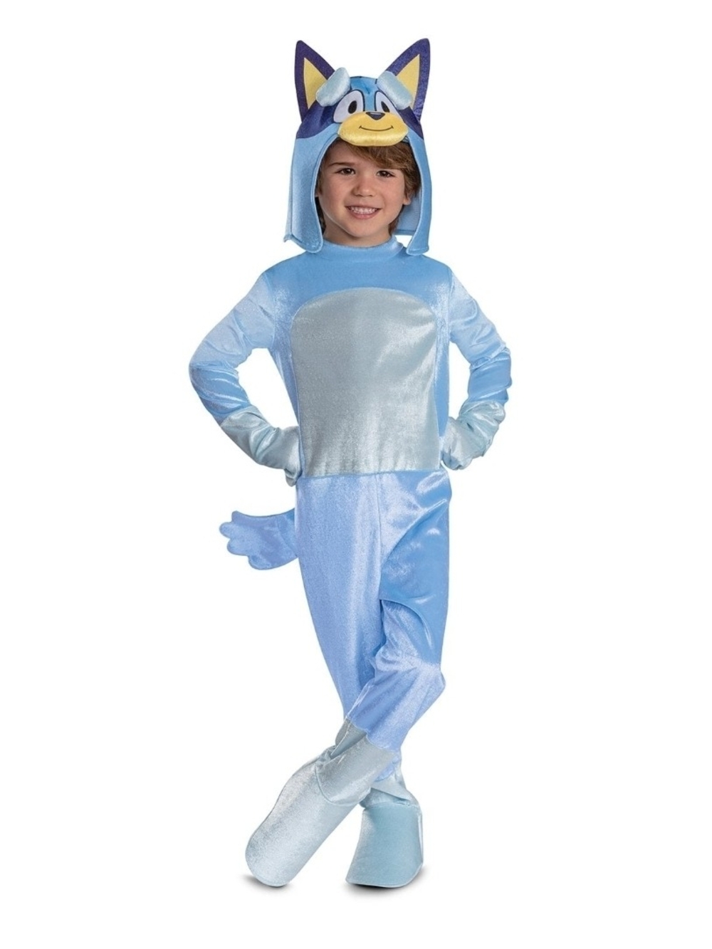 Bluey Character Kids Halloween Costume